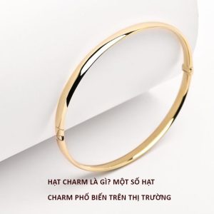 Hạt Charm là gì? Một số hạt charm phố biến trên thị trường