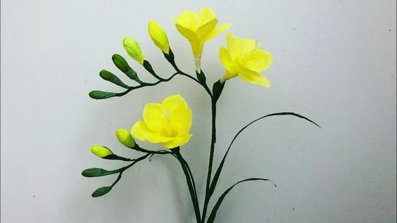 Hoa mai bằng giấy