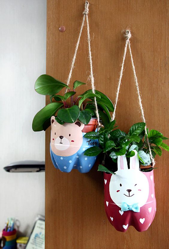 Chậu cây từ chai nhựa